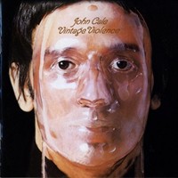 1970- Vintage Violence