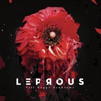 2009- Tall Poppy Syndrome