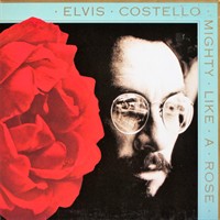 1991- Mighty Like A Rose