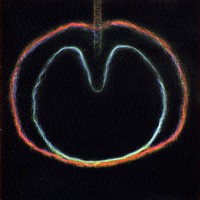 2000- Wasp Star
